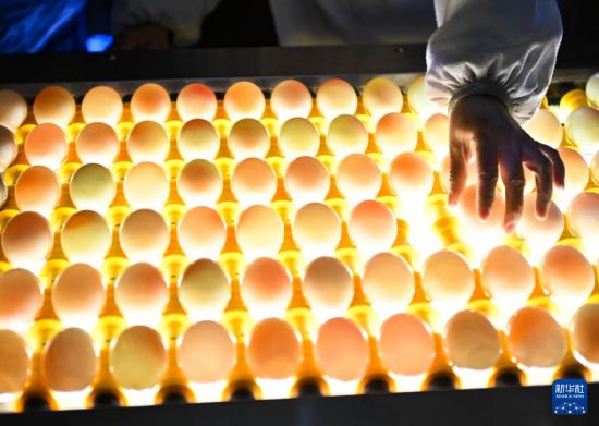 中国江苏高邮：小鸭蛋 大产业