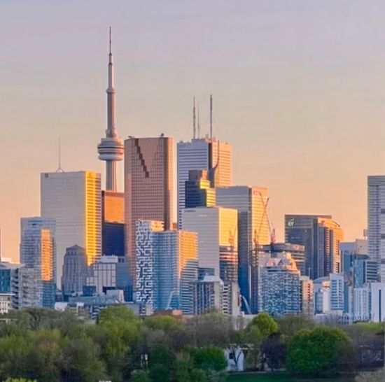 降息都救不了！多伦多公寓市场35年来最惨，开发商集体撤退！