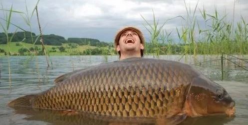 一场洪水过后，滑铁卢郊外遍地大鲤鱼