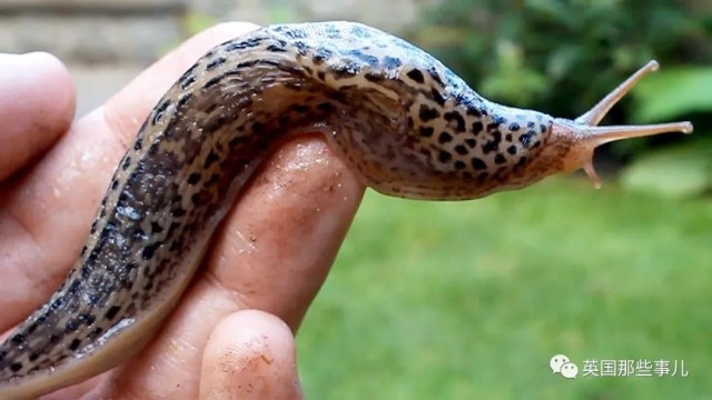 0FF44382-1AC3-45AE-852E-B3636587B588