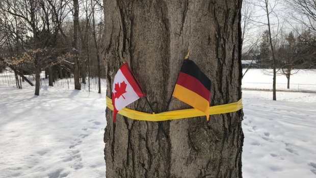 摆乌龙：总督府用德国旗迎比利时国王