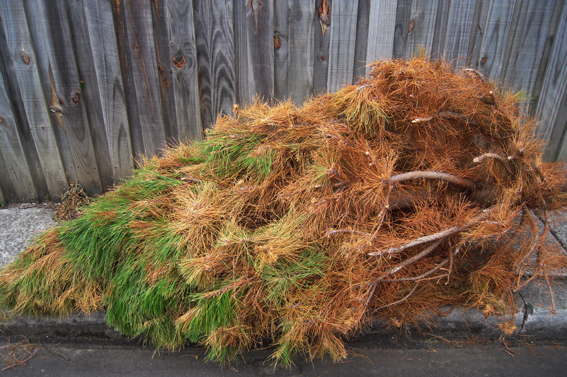 太夸张！竟有人把冻了13年的鱼拿去Costco退货