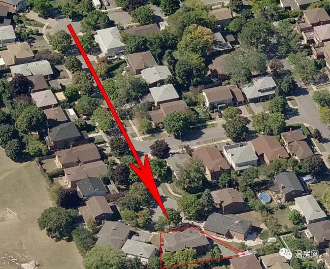 20170619_14978923041226.jpeg 0 (2).jpeg