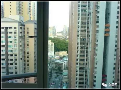 20170619_14978923511043.jpeg 0 (5).jpeg