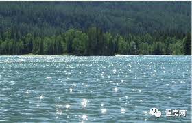 20170619_14978923791364.jpeg 0 (7).jpeg