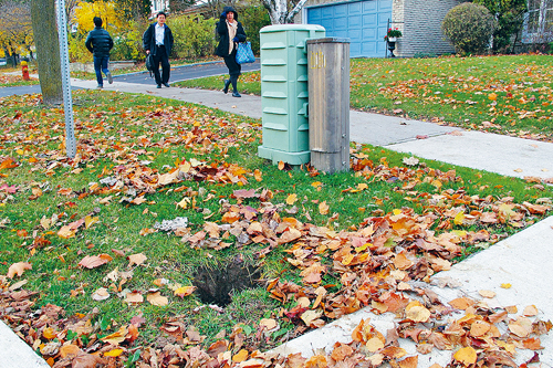 屋主注意！落叶阻塞去水道 积水易倒流入屋