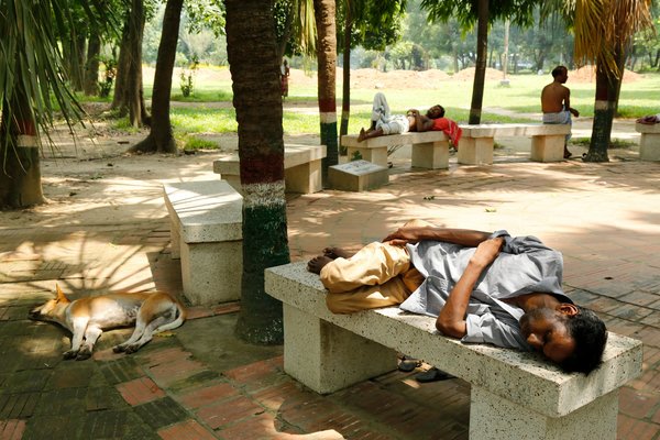 这个气候变化的恶果会让你夜不能寐