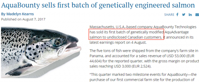 转基因三文鱼登上加拿大人餐桌 不贴转基因标签