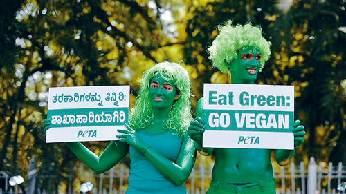 研究：购买本地有机食品 无助减排二氧化碳