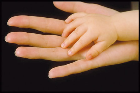 17年BC女婴叫Olivia最多 男取名Benjamin领先