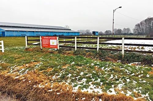 恐怖！列治文将变大麻城？农地纷纷申请改种大麻