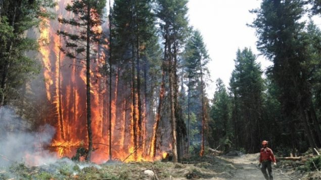 天气炎热干燥，BC 省预计今年还会有林火