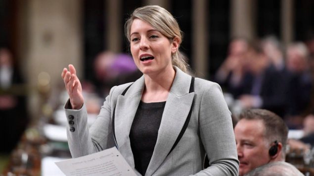 中国许诺将保护加拿大文化艺术企业的知识产权