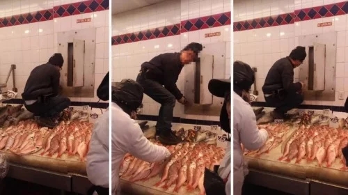 华人的卫生习惯再次惊呆老外