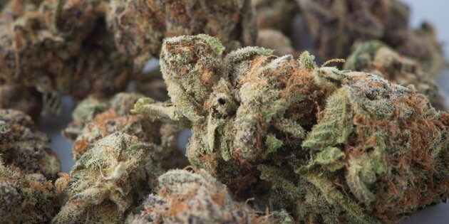 大麻合法化以后，租户是否有权在房间抽大麻？