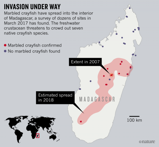 23DC3B4E-687E-400B-A33B-2E35869117B9