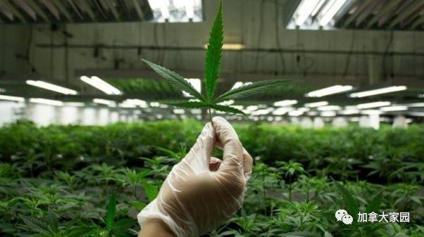 930FE5E7-F6E3-4A31-837B-DCE564E75D8D