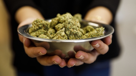 加拿大统计局首次调查你为买大麻花了多少钱？