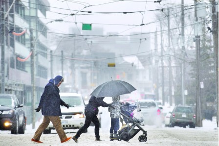 冰雨、强风 4月的多伦多户外变成冰封世界