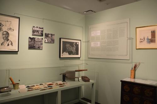 从排斥到认同 美国华人博物馆中医药展反映移民史