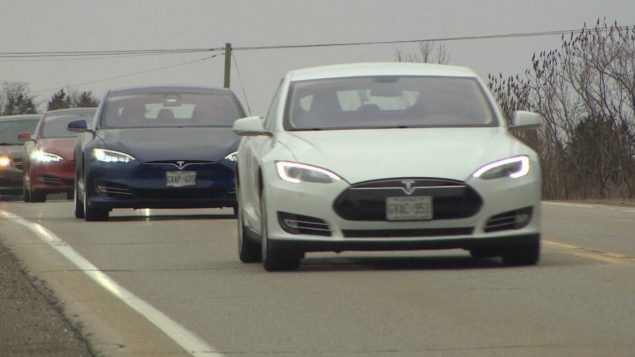 加拿大Tesla铁杆粉丝不理睬负面消息