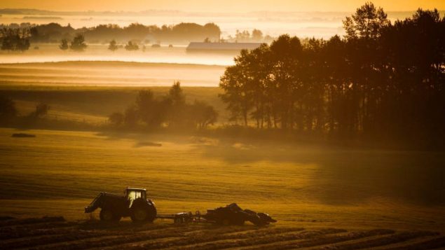 加拿大选择去种地的女农民越来越多，但障碍还在