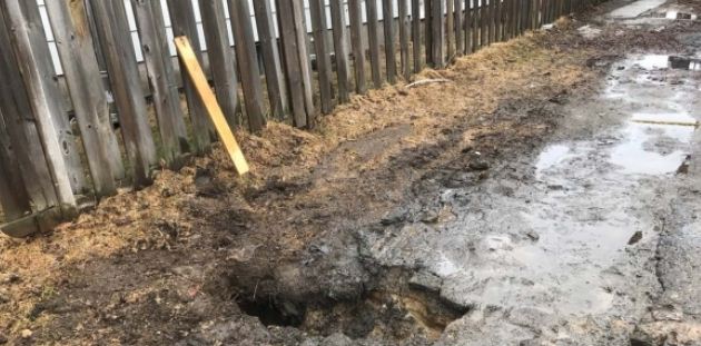 天！加拿大安省男子意外掉进自家后院的坑洞