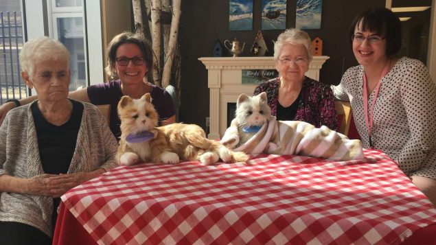 爱德华王子岛养老院用机器人宠物猫安抚老年痴呆患者见成效