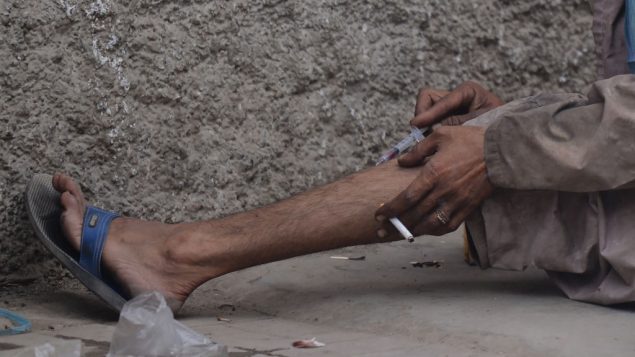 所有毒品的个人使用都应合法化：多伦多公共卫生局建议