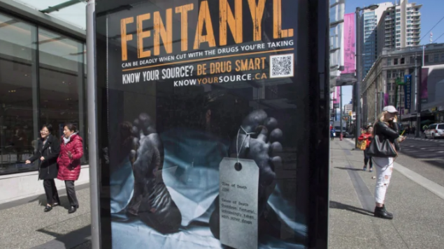 这问题让加拿大人均寿命下降