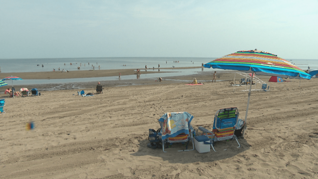 人喜欢犯懒，研究人员说大脑生来如此