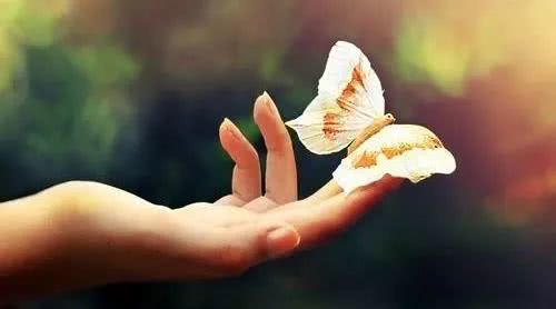 长寿秘诀被诺奖得主破解 主因无关饮食和运动