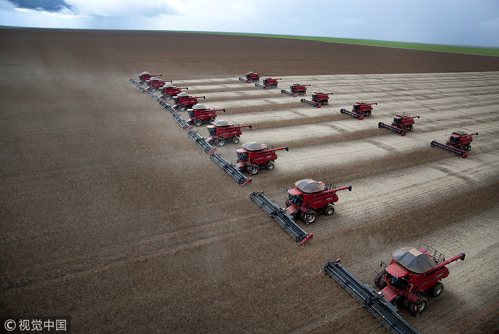 美国大豆价格跳水，大豆出口巨头巴西抢购