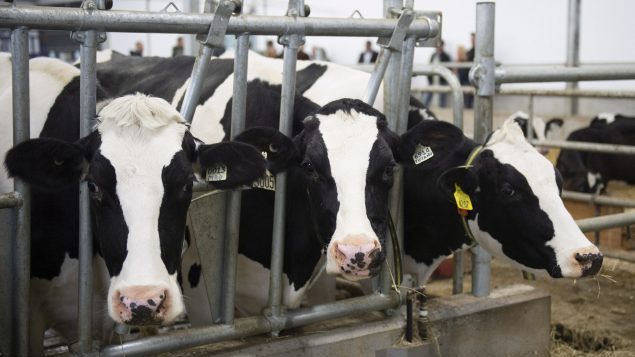 北美自贸协议签署：加拿大得以减少损害，但仍面临挑战