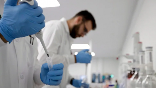 赚钱良机：投资者瞄准改基因合成大麻