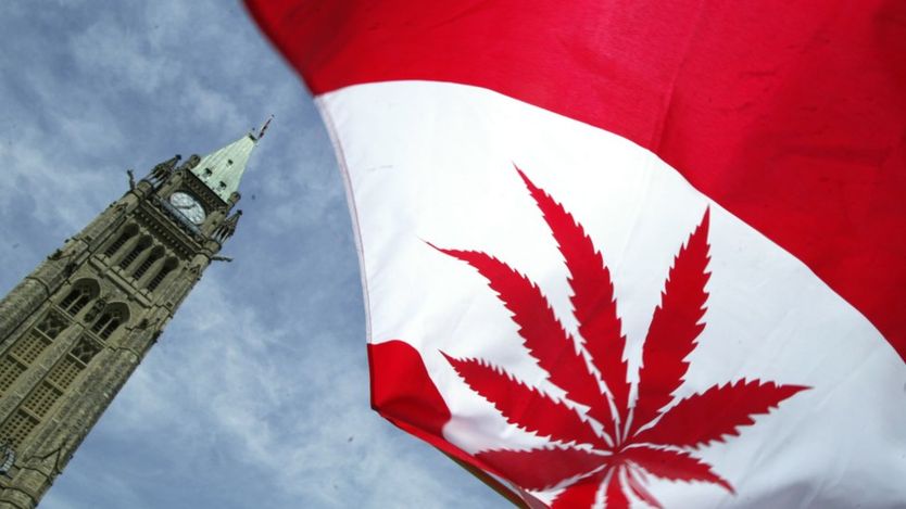 休闲大麻合法化 加拿大几家欢乐几家愁