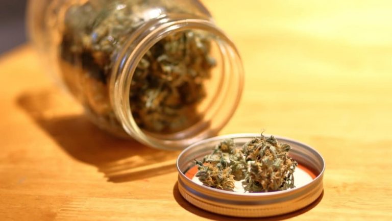 加拿大大麻合法第一天，网购每分钟 100 个订单