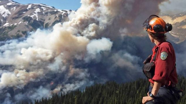 林火季节到，BC 省惠斯勒安装热度/烟雾敏感相机