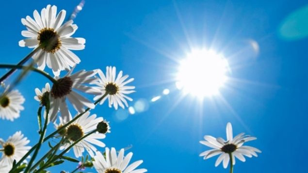 蒙特利尔市今年 7 月为 97年来最热的 7月