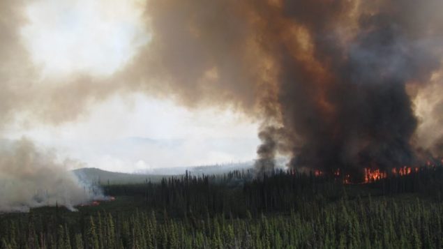BC 省因闪电导致近150 处林火