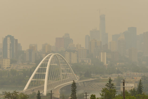 逾400起卑诗省森林野火系人为原因引发