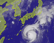 台风横扫日本 汽车漂移 机场直接变港口！