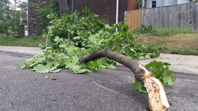 魁省安省今天都有强风，风速将达 90公里/小时