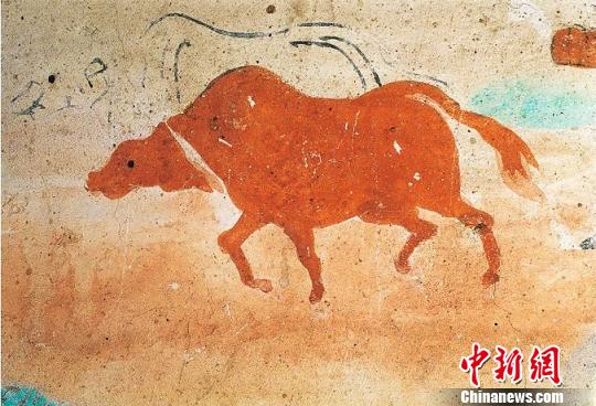 图为莫高窟第117窟盛唐耕牛。 敦煌研究院供图