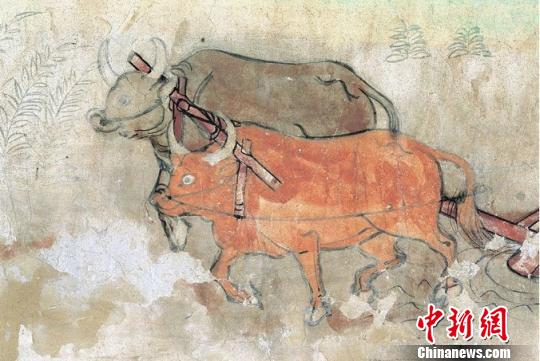 图为榆林窟第25窟中唐二牛抬杠。 敦煌研究院供图