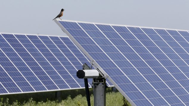 加拿大要求审核美国对进口太阳能电池板征收的高额关税