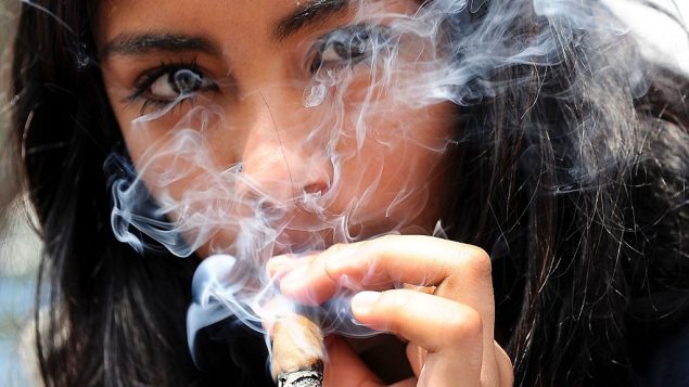 魁北克省教育厅长反对在预科和大学校园附近设大麻销售点