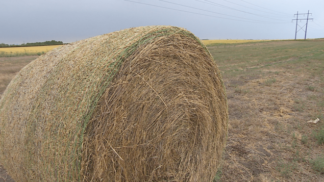 干旱导致农场损失，魁北克省对 3800 个农场提供 $2700万首期补偿