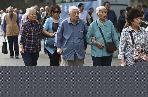 资料图：退休教师们参加活动。 <a target='_blank' href='http://www.chinanews.com/'>中新社</a>记者 泱波 摄