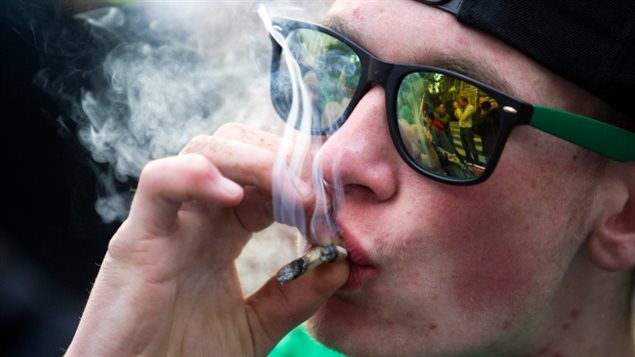 魁北克省新政府将加严大麻监管